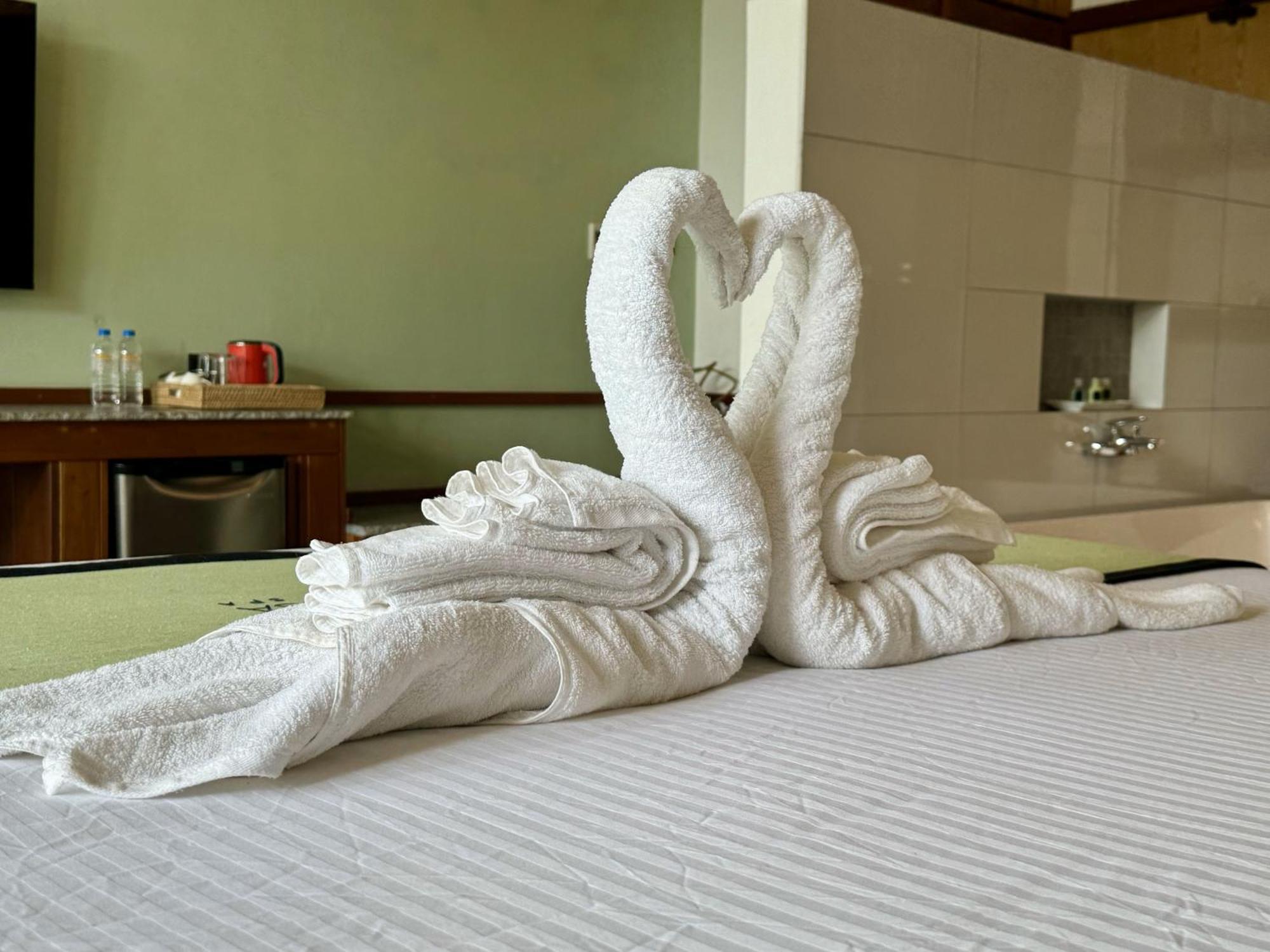 Coastline Mirissa Boutique Hotel And Spa Room photo